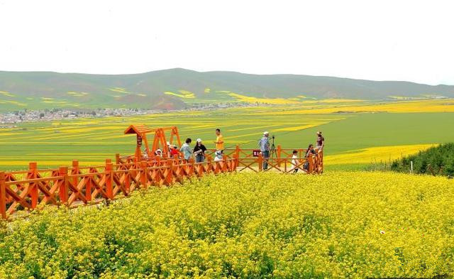 青島推動文旅項目多領域、多業(yè)態(tài)、多層次發(fā)展