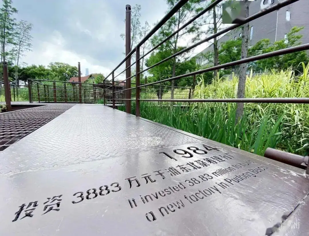 5.5公里楊浦濱江岸線，楊樹浦路變身“露天博物館”