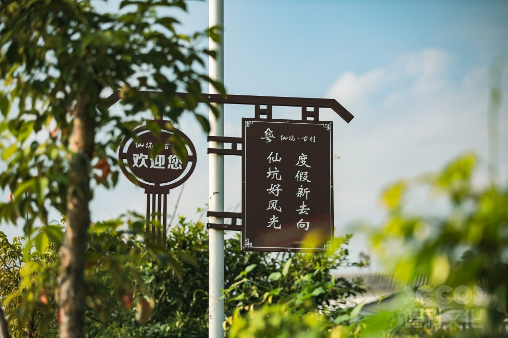 鄉(xiāng)村文旅設計如何結(jié)合鄉(xiāng)村音樂會和藝術(shù)展覽？
